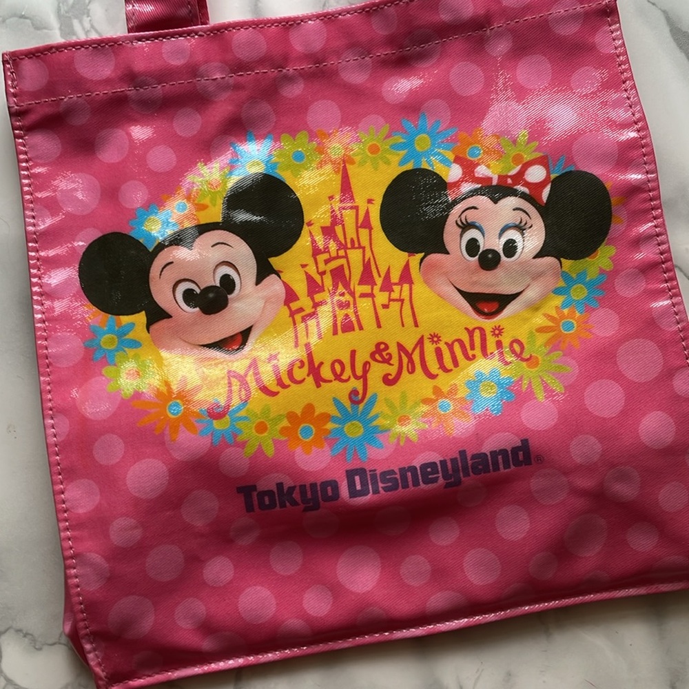 Tokyo Disneyland small oilcloth lunch tote bag MICKEY AND MINNIE